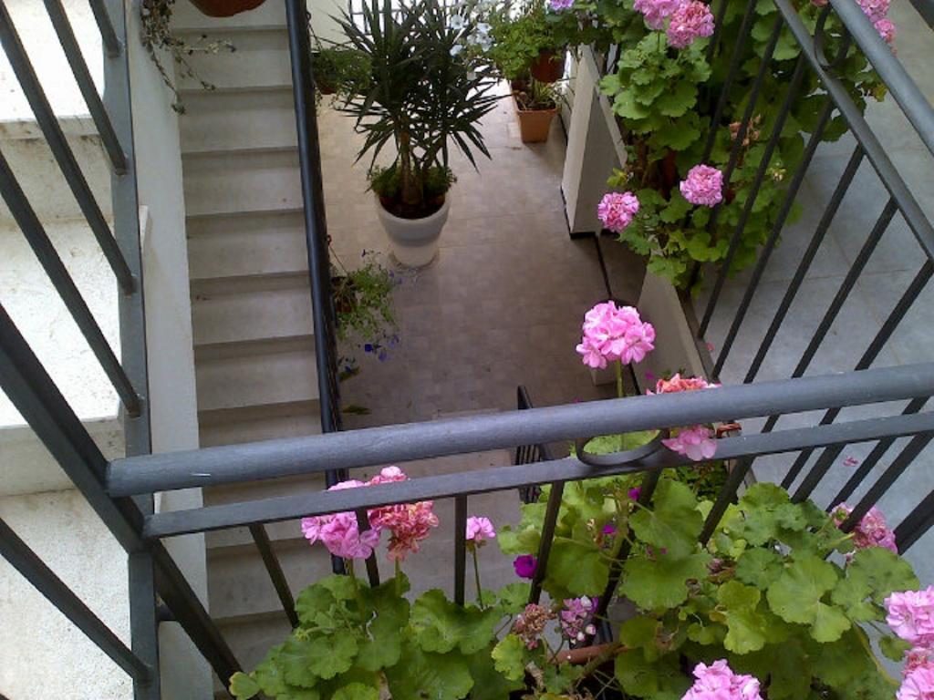 B&B Palazzo Diaz Marsala Exteriér fotografie